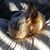 Linda French Derrington's profile image