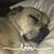 Trish Finlayson Parsley's profile image
