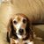 Christine Caputo's profile image