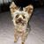 Winnie Pearl's profile image