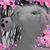Hina Soni-Goebel's profile image