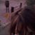 Lois Beigli's profile image