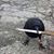 Joseph Oliver Grabon's profile image