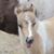 Melody Elaine's profile image