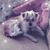 Lisl Hale-Ortega's profile image