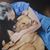 Cindy Giamalva Willard's profile image