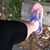 Pamela McGrath's profile image