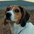 Betty Lynn Smith-Fonseca's profile image