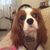Marion Ward's profile image