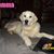 Borges Millar Corinne's profile image