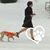 Vicki Siefken's profile image