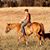 Christy Bastrom Logan's profile image