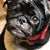 Eileen Klein's profile image