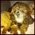 Karen Cotton's profile image