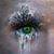 Linda Tooch's profile image
