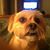 Yvonne Embry's profile image