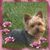 Irene Garmon's profile image