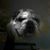 Jessica Gagnon's profile image