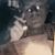 Sandy Adams's profile image