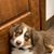 Deanna Maholsic's profile image