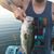 Zack Berwanger's profile image