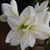 Sandra Becker Sperber's profile image