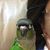 Regina Leach Flynn's profile image