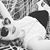 Mariea Roberts's profile image