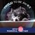 Cheri Sagatis's profile image
