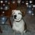 Joanne Smith's profile image