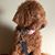 Cathy Hesse's profile image