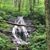 Sherry Franklin Cantrell's profile image