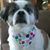 Kimberly Stumpf's profile image