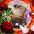 Lisa Sander's profile image