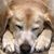 Cathy Hull Parks's profile image
