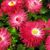 Mary Whitley's profile image
