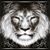 Mike Weis's profile image