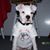 Angela C Turner's profile image