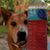 Stacy Kristinsson's profile image