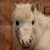 Valerie Hicks's profile image