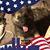 Jeanne Boe's profile image