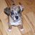 Teri Feeback's profile image