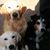 Berdyne Andersen's profile image