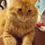 Aracely Garrido's profile image
