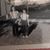 Marsha Armstrong's profile image