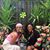 Linda S Tomasini's profile image