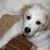 Jason E. Peoples's profile image