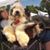 Claire Langridge Gilbert's profile image
