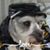 Tracey Griffith Kuhn's profile image
