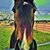 Lovella Sullivan's profile image